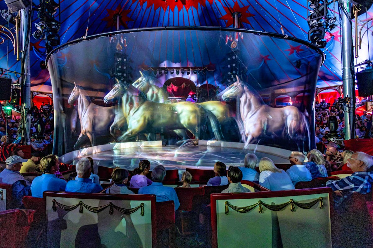 Le cirque Roncalli a fait le pari des projections d’animaux en hologramme.