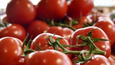 Guerre des tomates entre la France et l'Espagne