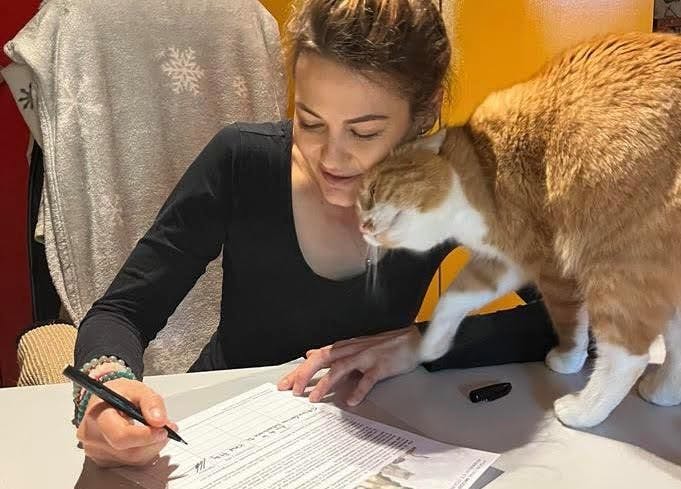 Encouragée par Garfield, promis à une euthanasie à Hambourg, Lauriane a signé la pétition visant l’interdiction d’euthanasier des chats sans justes motifs.
