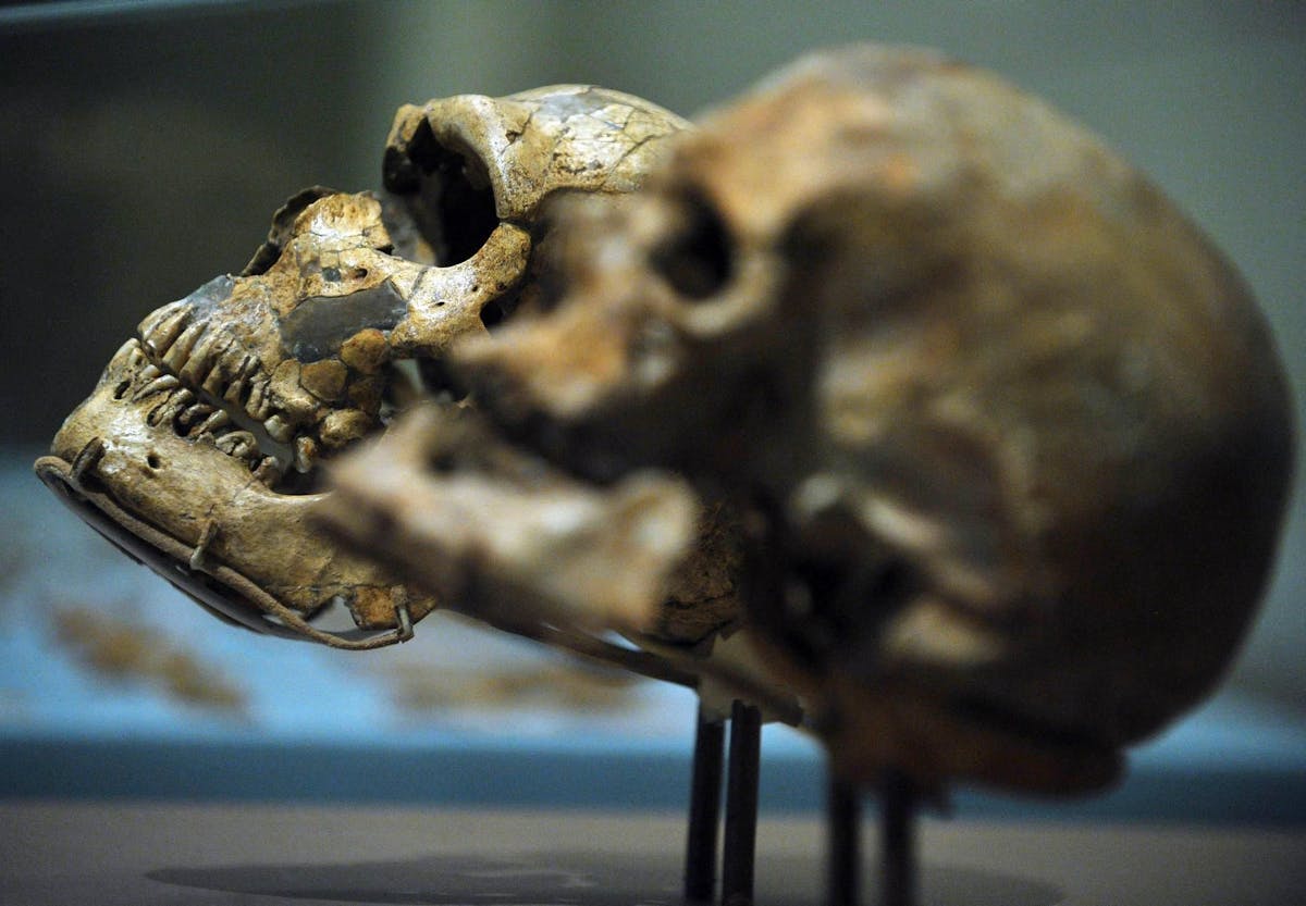 La découverte du Nesher Ramla questionne la thèse privilégiée de l’émergence du Neandertal en Europe qui aurait ensuite migré vers le sud. (Image d’illustration)