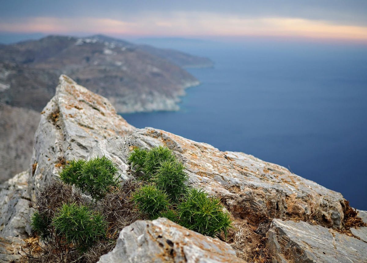 Le meurtre d’une jeune femme de 26 ans, poussée samedi par son compagnon sur une pente rocheuse haute de 30 mètres sur l’île de Folegandros (photo), a suscité un vif émoi lundi en Grèce.