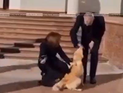 Après Commander, voilà le chien mordeur de la présidence moldave