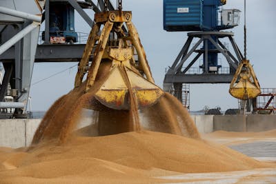 Moscou a lancé ses livraisons de céréales gratuites à des pays africains