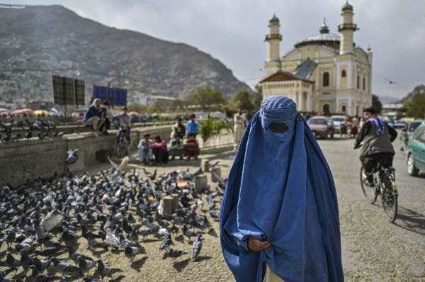 La plupart des femmes occupant des emplois publics ont été interdites de retourner travailler depuis la prise de pouvoir des talibans en août.