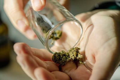 Un point de vente de cannabis légal ouvre à Lausanne