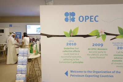 Des militants du climat interpellent l'OPEP dans son pavillon