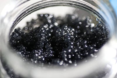 17 kilos de caviar à la poubelle pour un numéro manquant