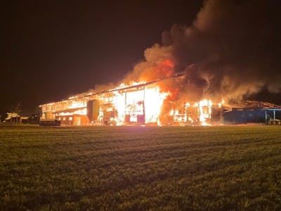 Une hécatombe de bovins dans un grand incendie à Bottens