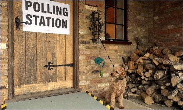 Un chien devant un bureau de vote situé à Dogmersfield.