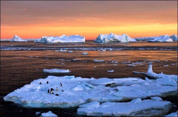 Élaboré par des scientifiques allemands et américains, ce rapport conclut que le pôle Nord serait libre de glace au milieu des années 2040.