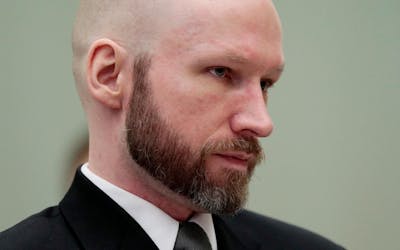 Breivik suicidaire et déprimé? Non, répondent des expertes
