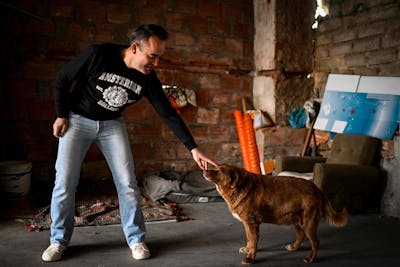 Doutes sur la longévité de Bobi, sacré chien le plus vieux du monde