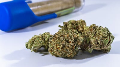 Les Valaisans prêts à tester la vente légale de cannabis