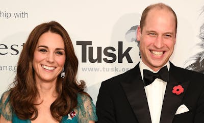 La monarchie britannique privée de son couple star