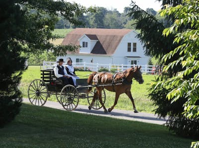 Des Amish se font voler chariot et cheval sur un parking
