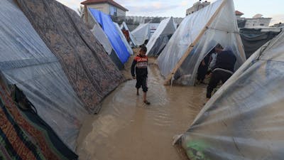 Palestiniens acculés à Rafah dans des «conditions de désespoir»