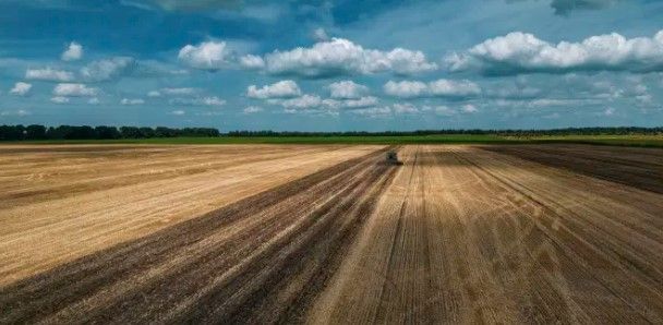 La Pologne s'excuse pour l'incident des céréales déversées à la frontière ukrainienne