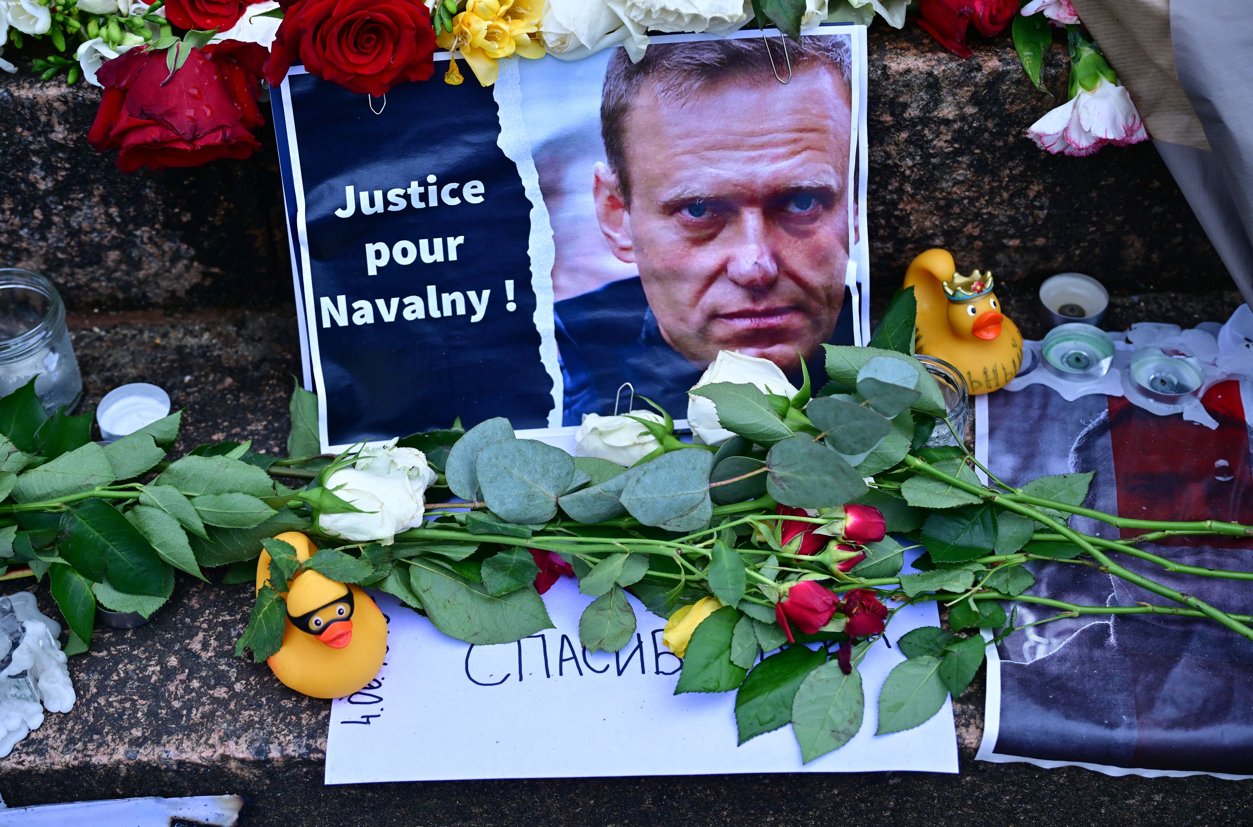 Navalny: les enquêteurs examineront son corps pendant au moins «14 jours»