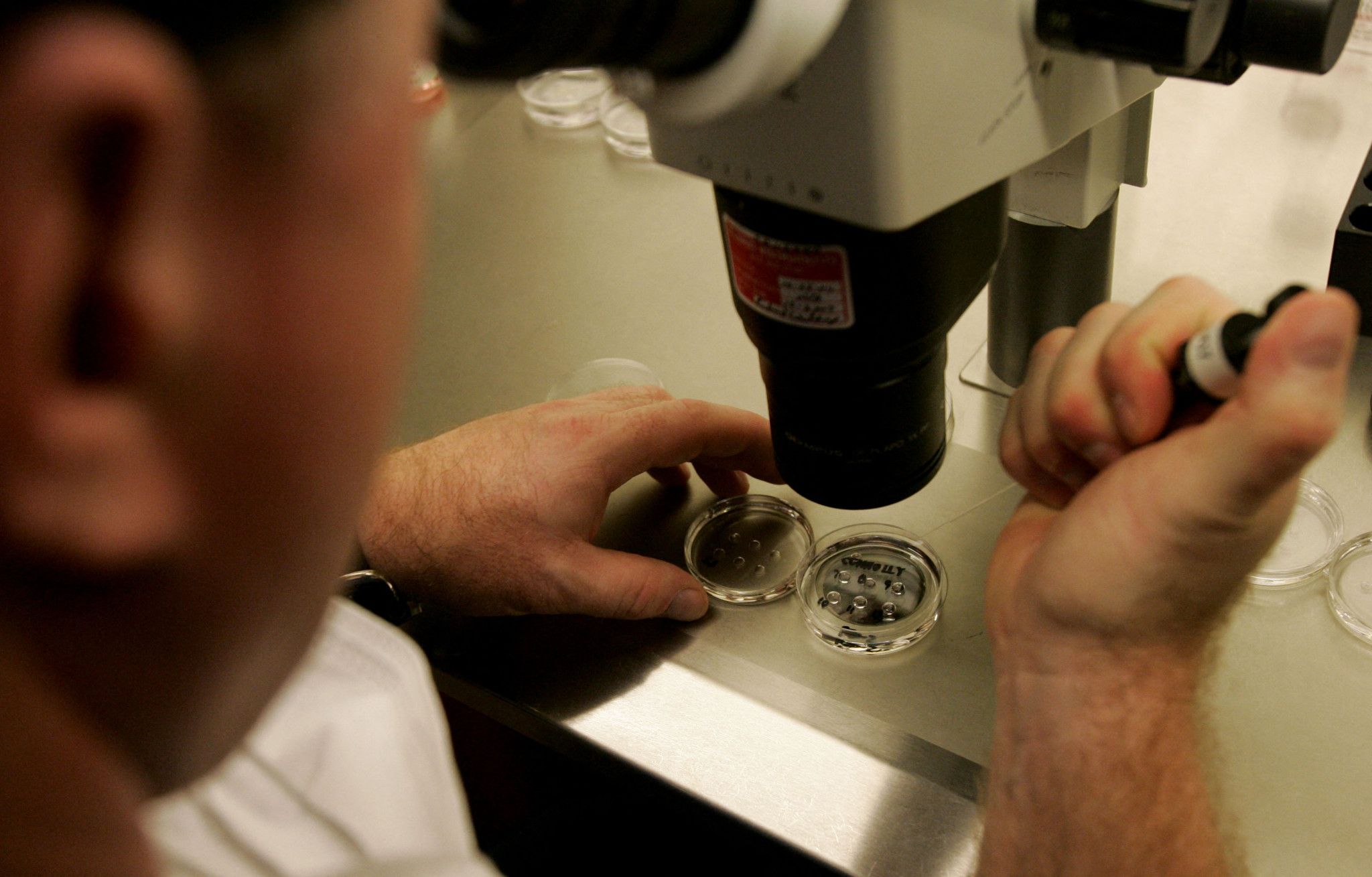 L'Alabama assimile les embryons congelés à des «enfants»