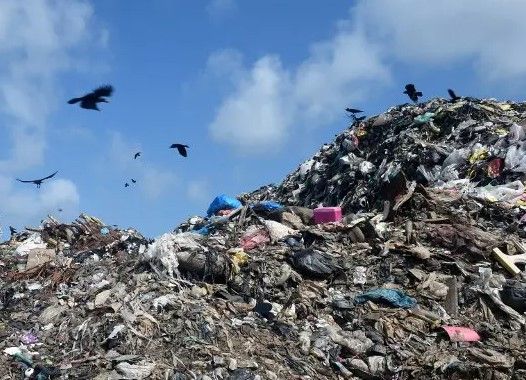 Alerte de l'ONU: le volume de déchets dans le monde ne cesse de croître