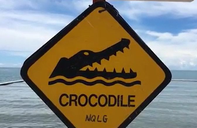 Une plage pleine de crocodiles est la plus belle du monde