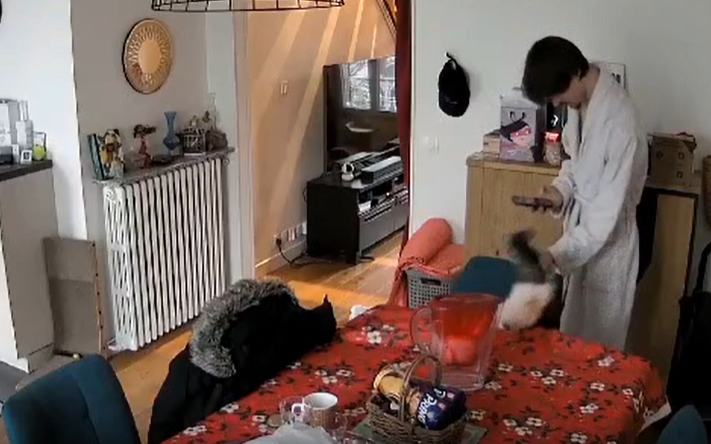 Elle découvre sur une vidéo que son compagnon torture ses chats