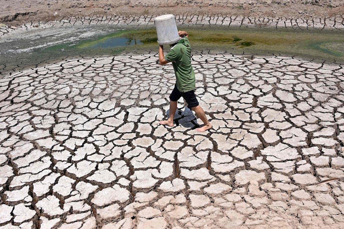 Le delta du Mekong, considéré comme le grenier à riz du Vietnam en raison de sa très grande production agricole, souffre des très lourdes conséquences de la sécheresse.