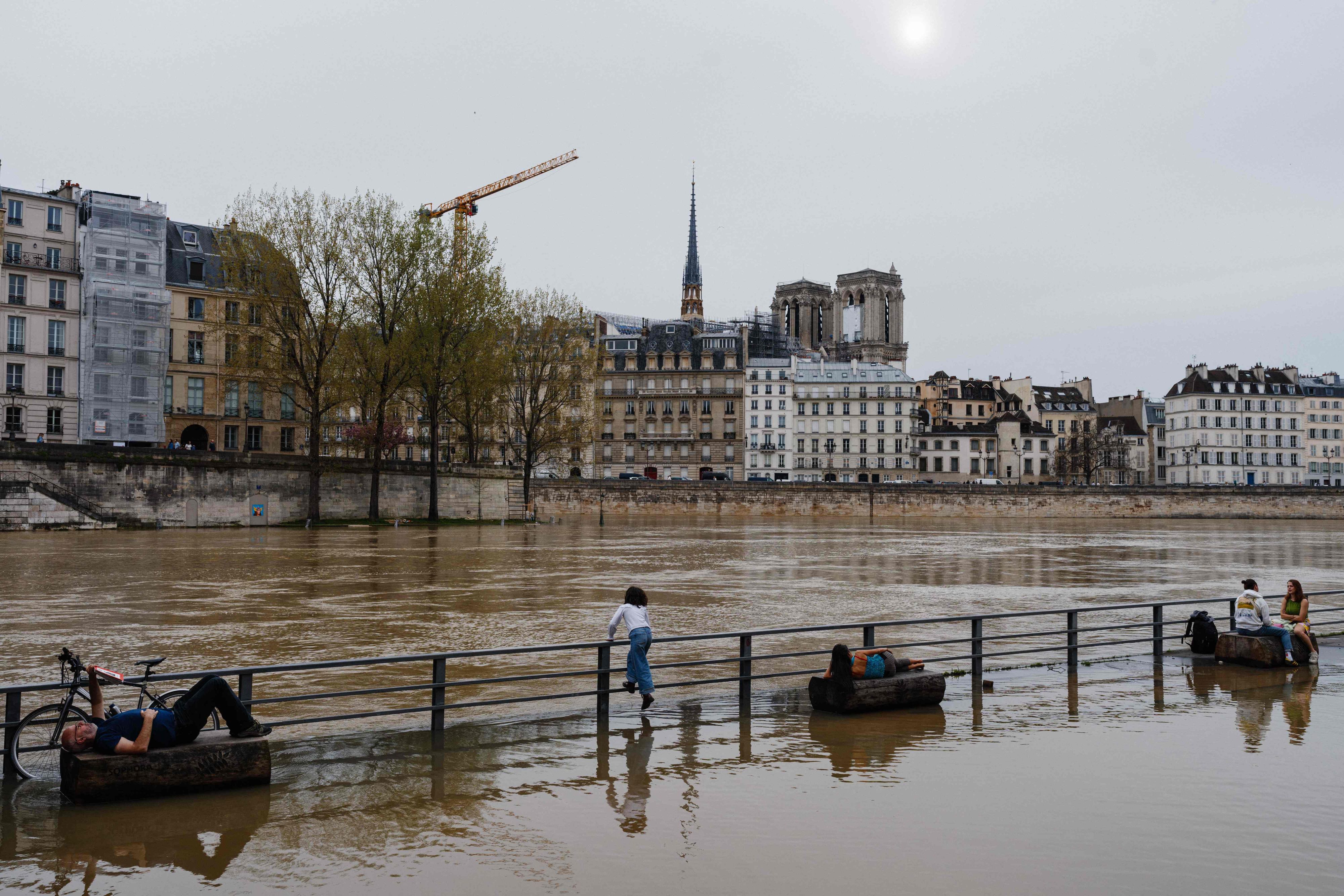 Les eaux de la Seine sont dans un état «alarmant»