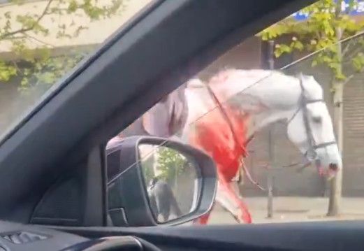Un cheval couvert de sang cavale au centre de Londres