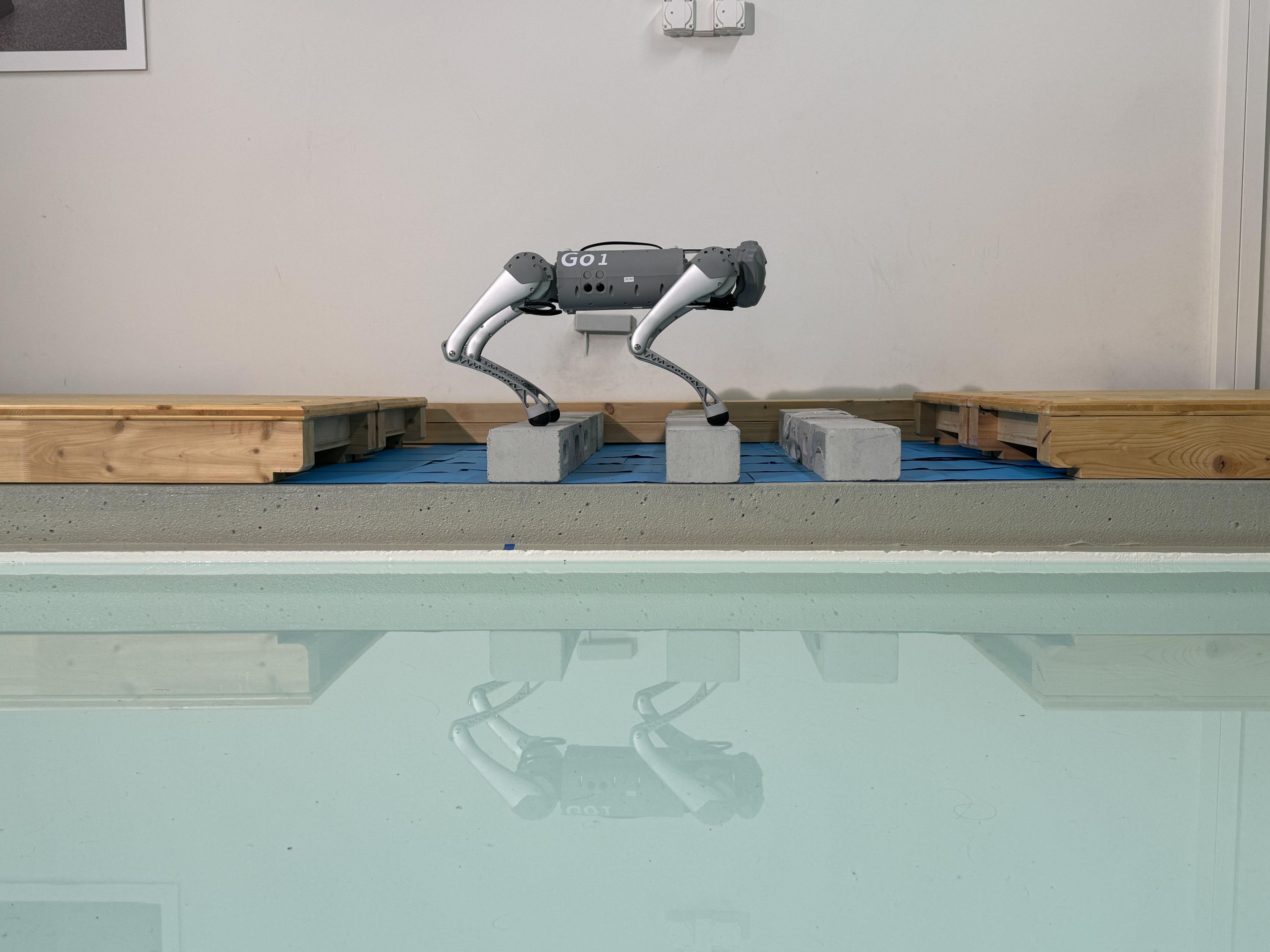Un robot de l'EPFL révèle pourquoi les animaux changent d'allure