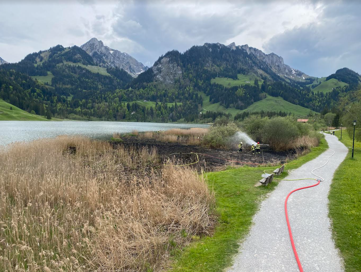 2000 m² de roseaux partent en fumée au Lac Noir