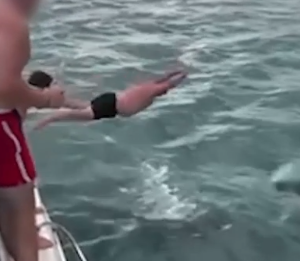 Condamné pour avoir délibérément plongé sur une orque