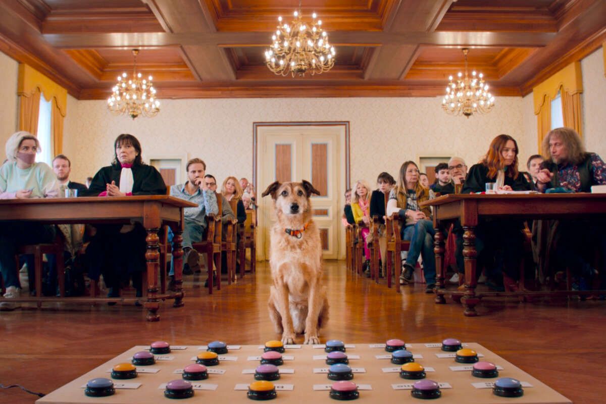 La Palme Dog revient à Kodi, chien joue dans un film suisse